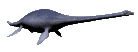 plesio01