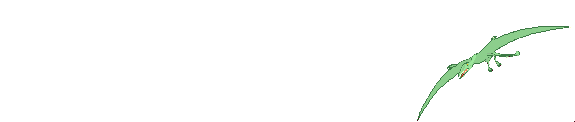 ptero03